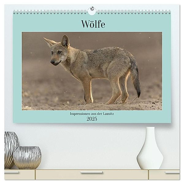 Wölfe, Impressionen aus der Lausitz (hochwertiger Premium Wandkalender 2025 DIN A2 quer), Kunstdruck in Hochglanz, Calvendo, Steffen Heiber