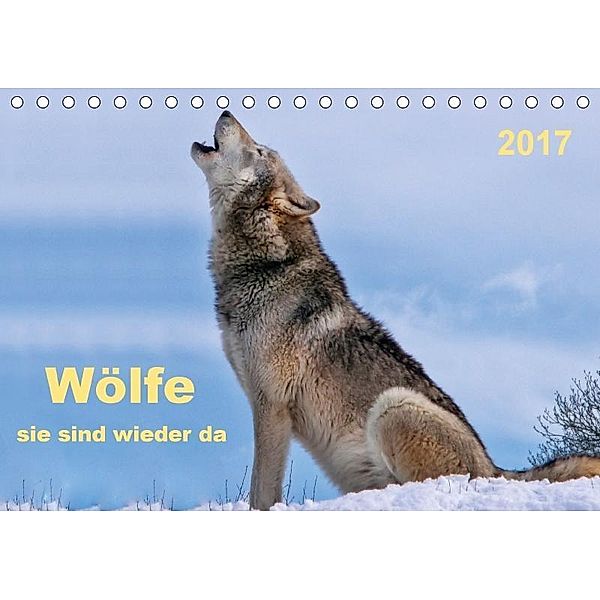 Wölfe - sie sind wieder da (Tischkalender 2017 DIN A5 quer), Peter Roder