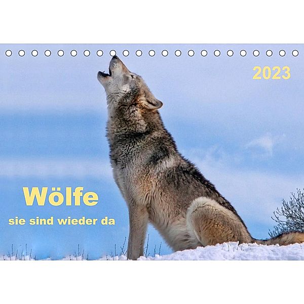 Wölfe - sie sind wieder da (Tischkalender 2023 DIN A5 quer), Peter Roder