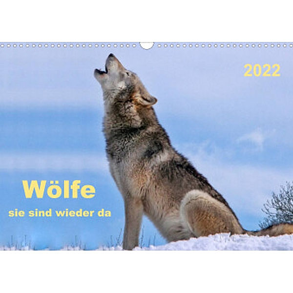 Wölfe - sie sind wieder da (Wandkalender 2022 DIN A3 quer), Peter Roder