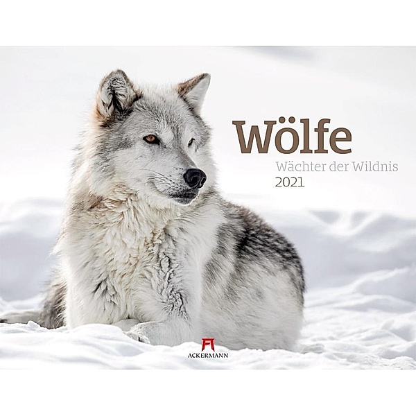Wölfe - Wächter der Wildnis 2021