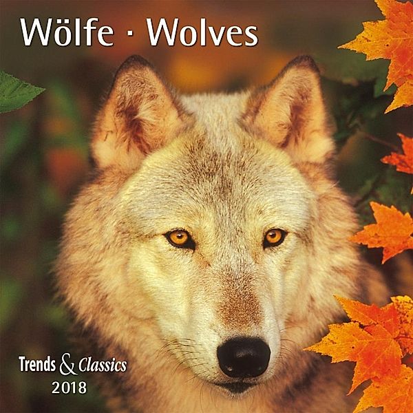 Wölfe / Wolves 2018