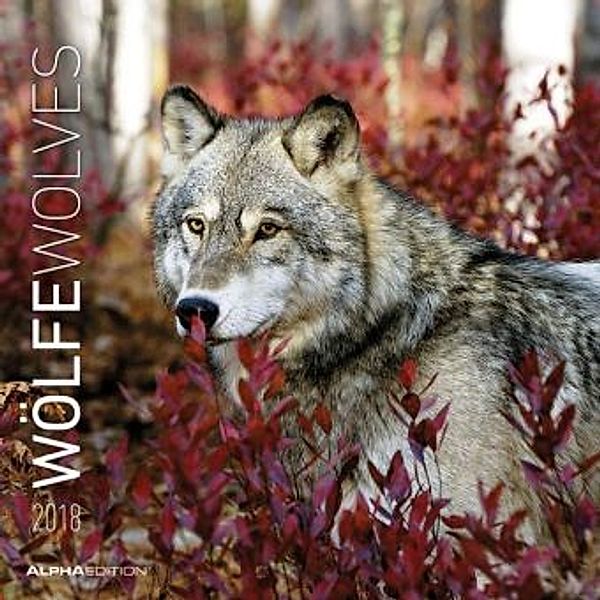 Wölfe / Wolves 2018