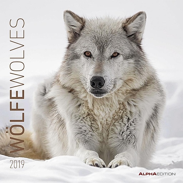 Wölfe / Wolves 2019, ALPHA EDITION