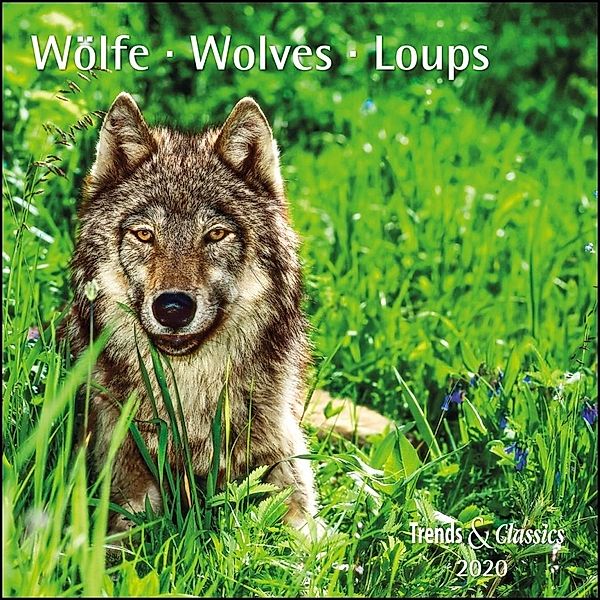 Wölfe / Wolves / Loups 2020