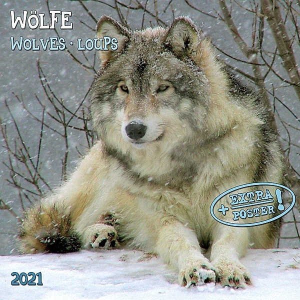 Wölfe / Wolves / Loups 2021