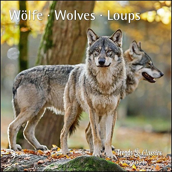 Wölfe / Wolves / Loups 2021