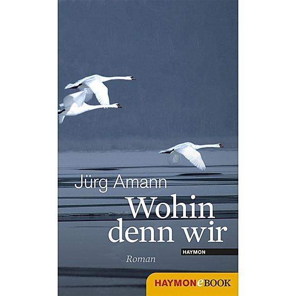 Wohin denn wir, Jürg Amann