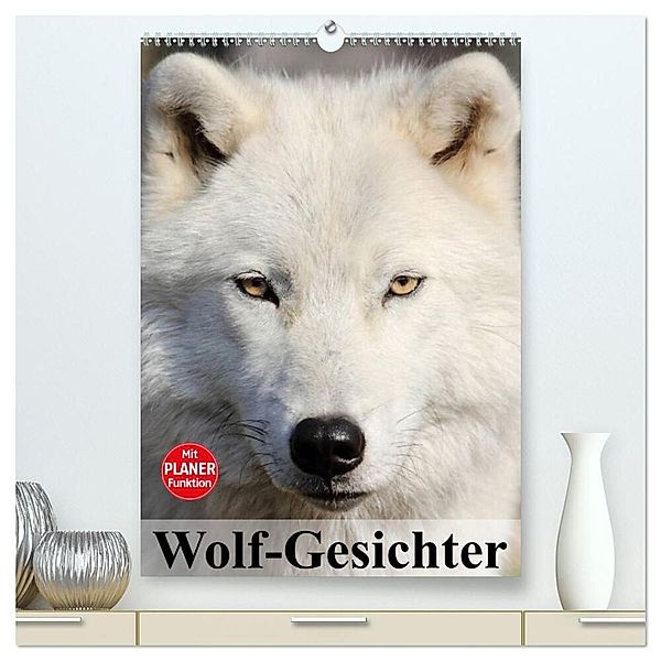 Wolf-Gesichter (hochwertiger Premium Wandkalender 2024 DIN A2 hoch), Kunstdruck in Hochglanz, Elisabeth Stanzer