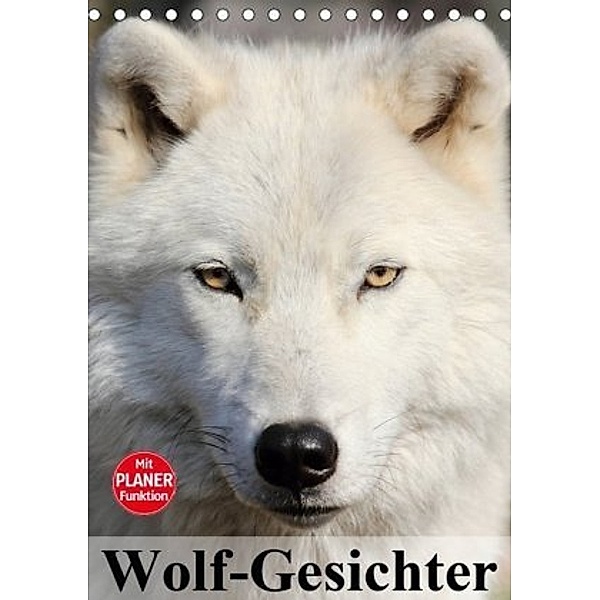 Wolf-Gesichter (Tischkalender 2020 DIN A5 hoch), Elisabeth Stanzer