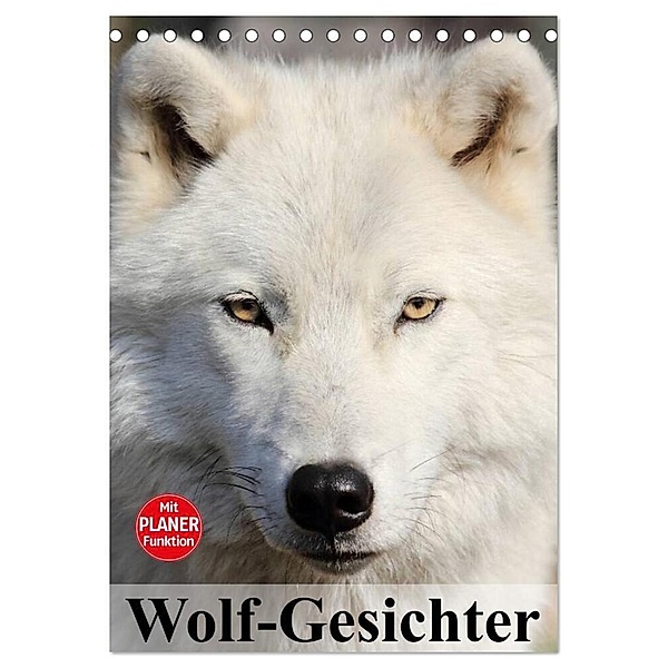 Wolf-Gesichter (Tischkalender 2024 DIN A5 hoch), CALVENDO Monatskalender, Elisabeth Stanzer