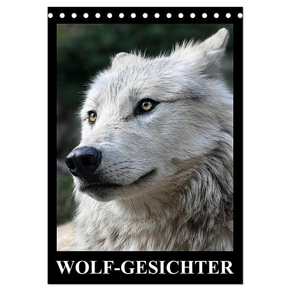Wolf-Gesichter (Tischkalender 2024 DIN A5 hoch), CALVENDO Monatskalender, Elisabeth Stanzer