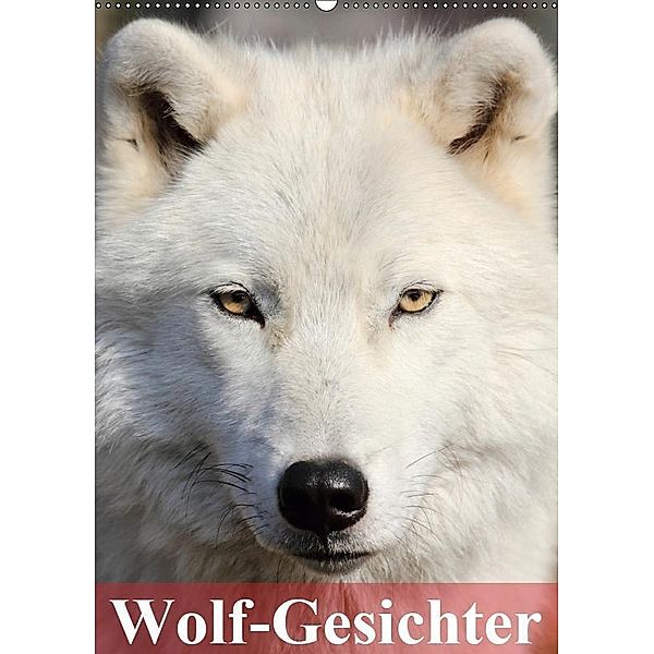 Wolf-Gesichter (Wandkalender 2019 DIN A2 hoch), Elisabeth Stanzer