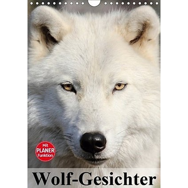 Wolf-Gesichter (Wandkalender 2020 DIN A4 hoch), Elisabeth Stanzer