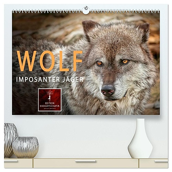 Wolf - Imposanter Jäger (hochwertiger Premium Wandkalender 2024 DIN A2 quer), Kunstdruck in Hochglanz, Peter Roder
