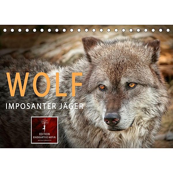 Wolf - Imposanter Jäger (Tischkalender 2023 DIN A5 quer), Peter Roder