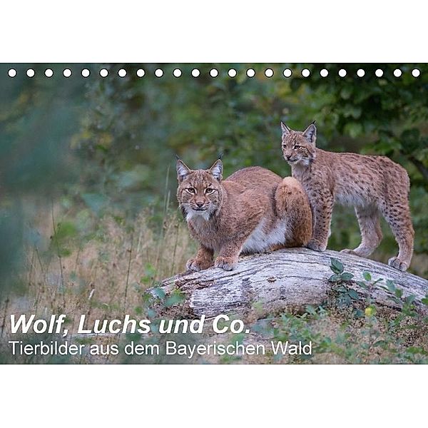 Wolf, Luchs und Co. - Tierbilder aus dem Bayerischen Wald (Tischkalender 2017 DIN A5 quer), Klaus Buchmann