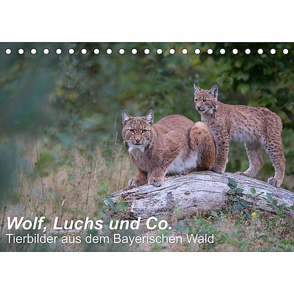 Wolf, Luchs und Co. - Tierbilder aus dem Bayerischen Wald (Tischkalender 2023 DIN A5 quer), Klaus Buchmann, www.klaus-buchmann.de