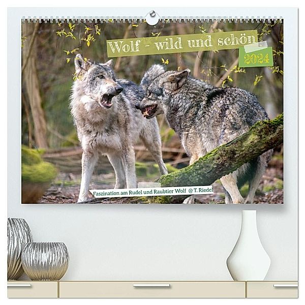 Wolf - wild und schön (hochwertiger Premium Wandkalender 2024 DIN A2 quer), Kunstdruck in Hochglanz, Tanja Riedel