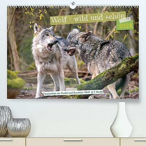 Wolf - wild und schön (Premium, hochwertiger DIN A2 Wandkalender 2023, Kunstdruck in Hochglanz), Tanja Riedel