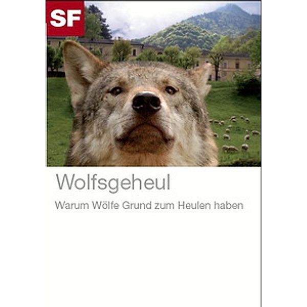 Wolfsgeheul, Wolfsgeheul