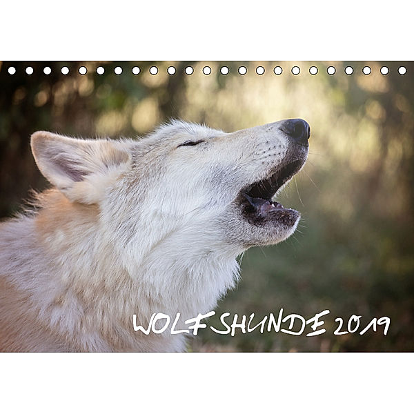 Wolfshunde 2019 (Tischkalender 2019 DIN A5 quer), ARTness Photographie