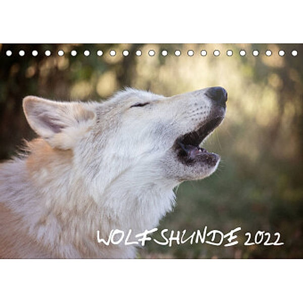 Wolfshunde 2022 (Tischkalender 2022 DIN A5 quer), ARTness Photographie