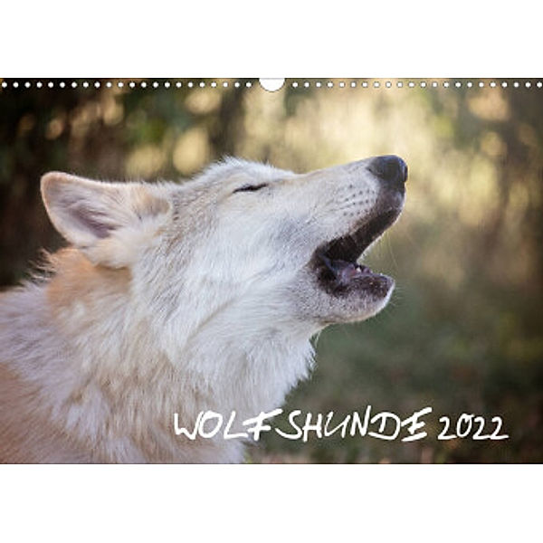 Wolfshunde 2022 (Wandkalender 2022 DIN A3 quer), ARTness Photographie