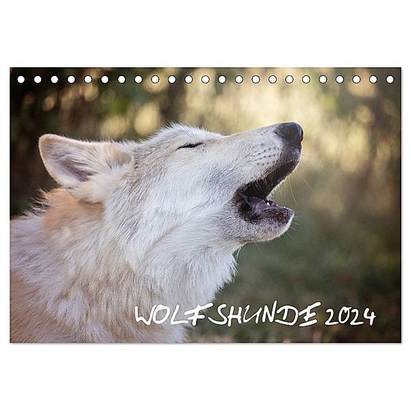 Wolfshunde 2024 (Tischkalender 2024 DIN A5 quer), CALVENDO Monatskalender, ARTness Photographie