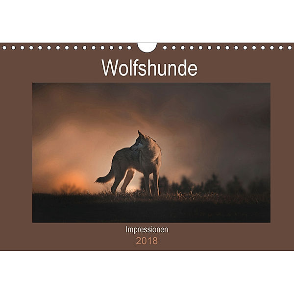 Wolfshunde Impressionen (Wandkalender 2018 DIN A4 quer), Anja Foto Grafia Fotografie