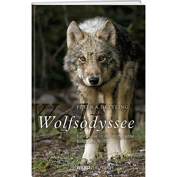 Wolfsodyssee, Peter A. Dettling