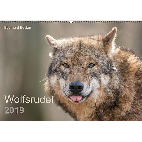 Wolfsrudel (Wandkalender 2019 DIN A2 quer), Eberhard Becker