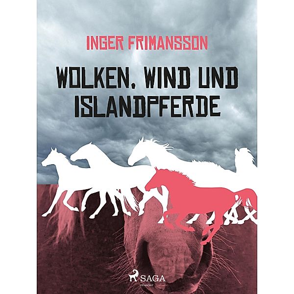 Wolken, Wind und Islandpferde, Inger Frimansson