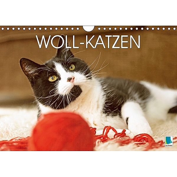 Woll-Katzen (Wandkalender 2018 DIN A4 quer), CALVENDO