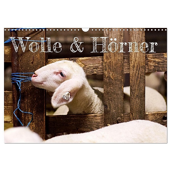 Wolle & Hörner (Wandkalender 2024 DIN A3 quer), CALVENDO Monatskalender, Hannah Krämer