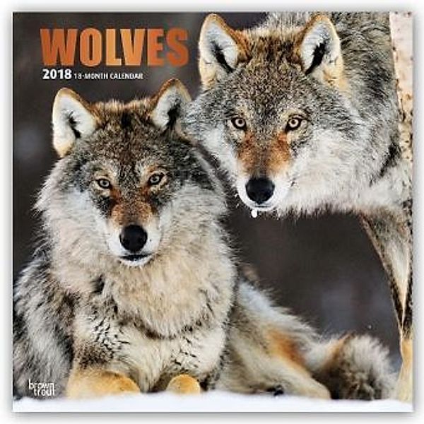 Wolves 2018, BrownTrout Publisher
