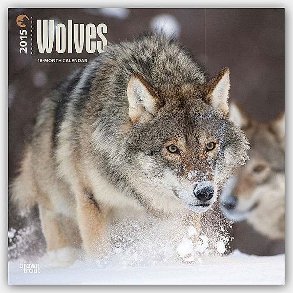 Wolves, Broschürenkalender 2015