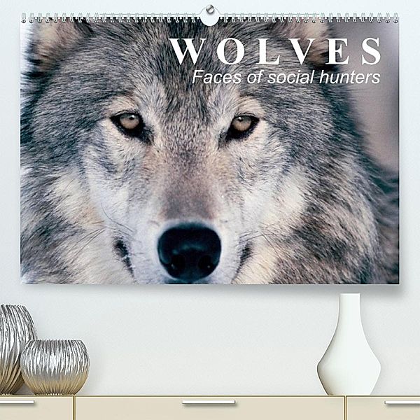 Wolves - Faces of social hunters (Premium, hochwertiger DIN A2 Wandkalender 2023, Kunstdruck in Hochglanz), Elisabeth Stanzer