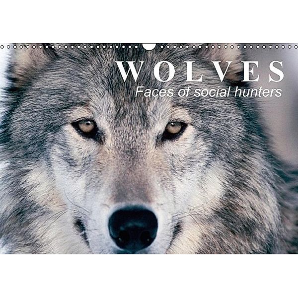 Wolves - Faces of social hunters (Wall Calendar 2017 DIN A3 Landscape), Elisabeth Stanzer