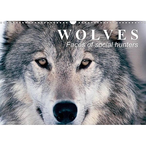 Wolves - Faces of social hunters (Wall Calendar 2023 DIN A3 Landscape), Elisabeth Stanzer