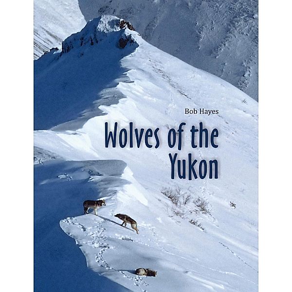 Wolves of the Yukon, Bob Inc. Hayes
