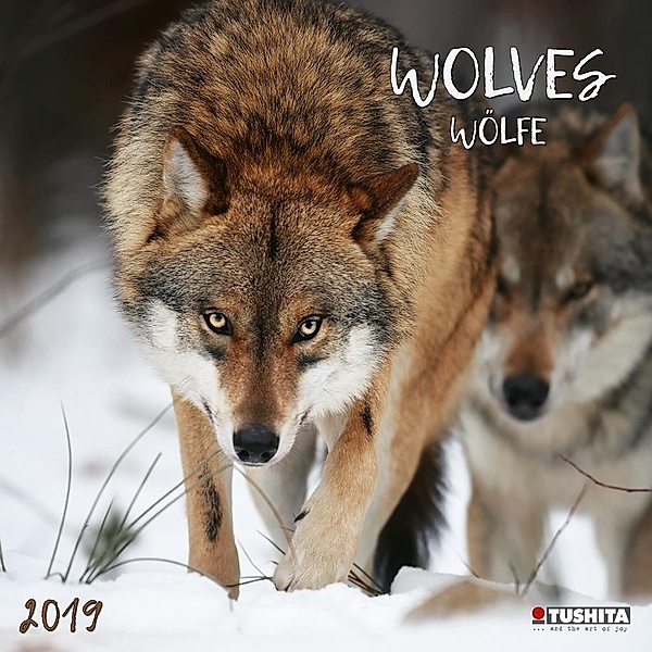 Wolves / Wölfe 2019
