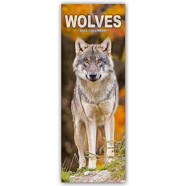 Wolves - Wölfe 2022, Avonside Publishing Ltd