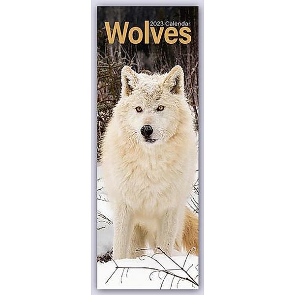 Wolves - Wölfe 2023, Avonside Publishing Ltd