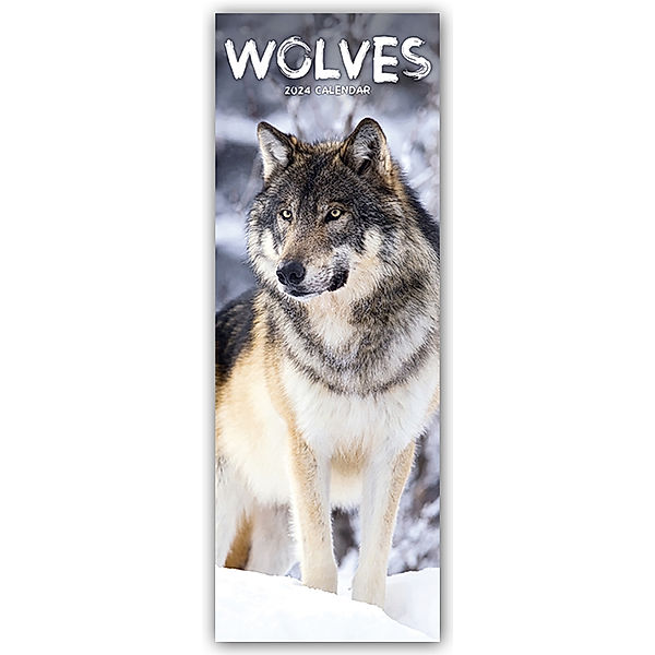 Wolves - Wölfe 2024, Avonside Publishing Ltd