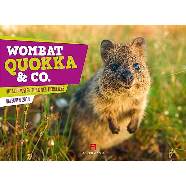 Wombat, Quokka & Co. Kalender 2019