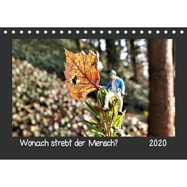 Wonach strebt der Mensch? (Tischkalender 2020 DIN A5 quer), Ilka Dankert