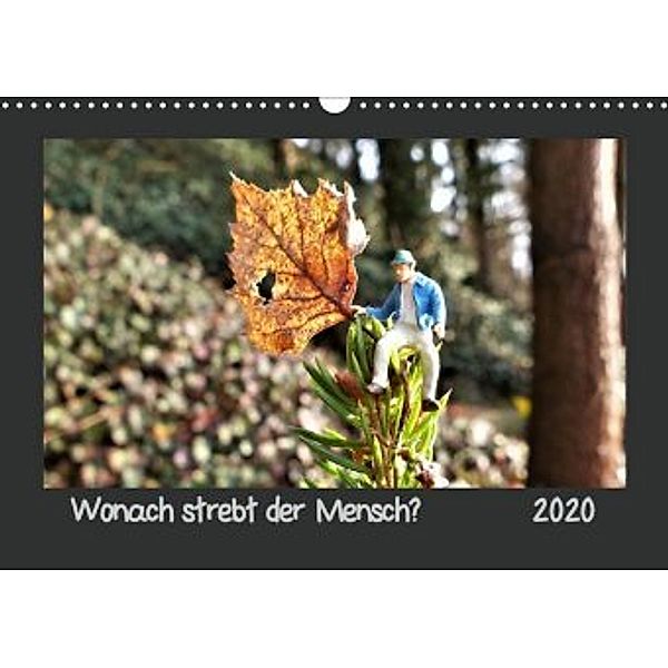 Wonach strebt der Mensch? (Wandkalender 2020 DIN A3 quer), Ilka Dankert