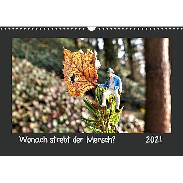 Wonach strebt der Mensch? (Wandkalender 2021 DIN A3 quer), Ilka Dankert