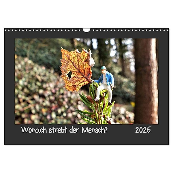 Wonach strebt der Mensch? (Wandkalender 2025 DIN A3 quer), CALVENDO Monatskalender, Calvendo, Ilka Dankert